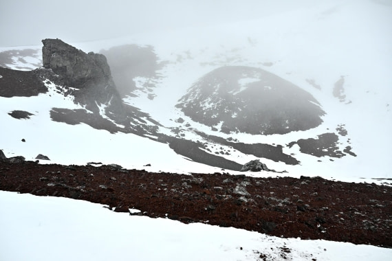 PLA20-24, Day 16, 8AY_5333_20241102_7357 © Yves Adams - Oceanwide Expeditions.JPG