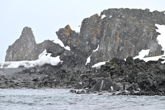 PLA20-24, Day 16, 8AY_5685_20241102_7378 © Yves Adams - Oceanwide Expeditions.JPG