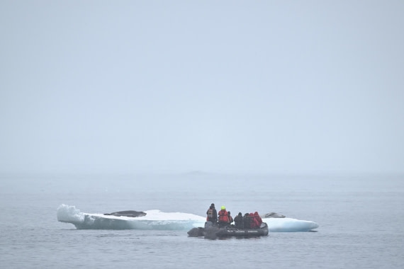 PLA20-24, Day 16, YA6_3539_20241102_7359 © Yves Adams - Oceanwide Expeditions.JPG