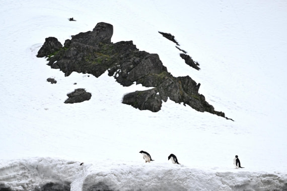 PLA20-24, Day 16, YA6_4625_20241102_7373 © Yves Adams - Oceanwide Expeditions.JPG