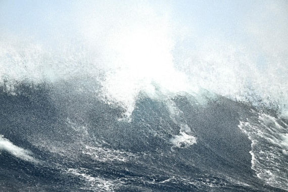 PLA20-24, Day 17, 8AY_5789_20241103_7429 © Yves Adams - Oceanwide Expeditions.JPG