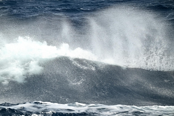 PLA20-24, Day 17, 8AY_5857_20241103_7430 © Yves Adams - Oceanwide Expeditions.JPG