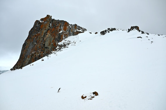 PLA20-24, Day 17, 8AY_6018_20241103_7470 © Yves Adams - Oceanwide Expeditions.JPG
