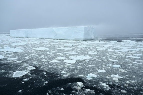 PLA20-24, Day 17, YA6_6738_20241103_7401 © Yves Adams - Oceanwide Expeditions.JPG
