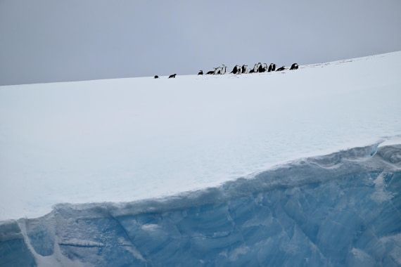 PLA20-24, Day 17, YA6_7198_20241103_7409 © Yves Adams - Oceanwide Expeditions.JPG
