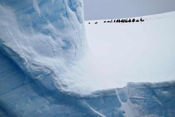 PLA20-24, Day 17, YA6_7229_20241103_7410 © Yves Adams - Oceanwide Expeditions.JPG