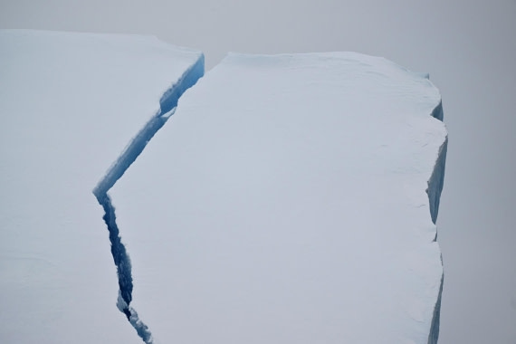 PLA20-24, Day 17, YA6_7362_20241103_7411 © Yves Adams - Oceanwide Expeditions.JPG