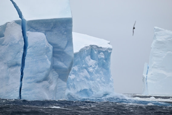 PLA20-24, Day 17, YA6_7374_20241103_7412 © Yves Adams - Oceanwide Expeditions.JPG
