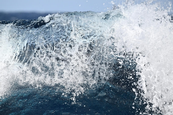 PLA20-24, Day 17, YA6_8790_20241103_7424 © Yves Adams - Oceanwide Expeditions.JPG