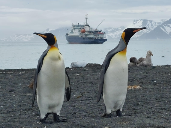 Plancius between two kings