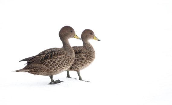 looking forward to our next trip