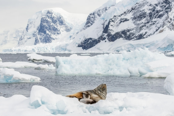 HDS21a24, Day 5, 2B5A3283 © Juan Berenstein - Oceanwide Expeditions.jpg