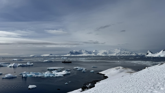 HDS21a24, Day 8, Cuverville2 © Meike Sjoer - Oceanwide Expeditions.jpg