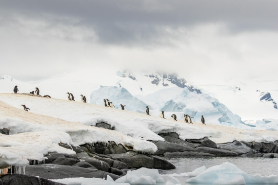 HDS21a24, Day 9, 2B5A3751 © Juan Berenstein - Oceanwide Expeditions.jpg