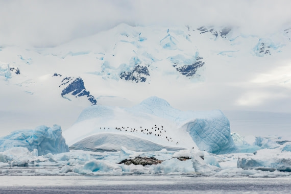 HDS21a24, Day 9, 2B5A3757 © Juan Berenstein - Oceanwide Expeditions.jpg