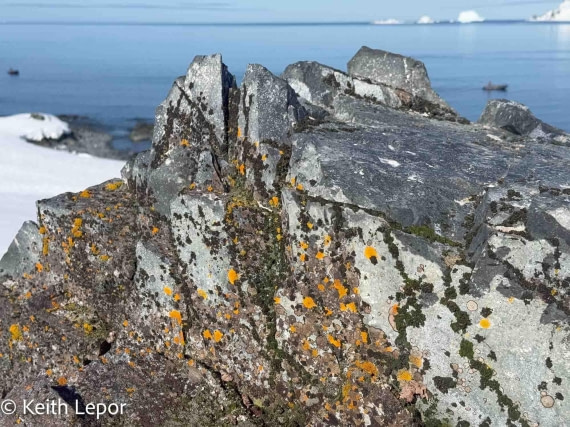 HDS21a24, Day 10, IMG_9226 © Keith Lepor - Oceanwide Expeditions.jpg