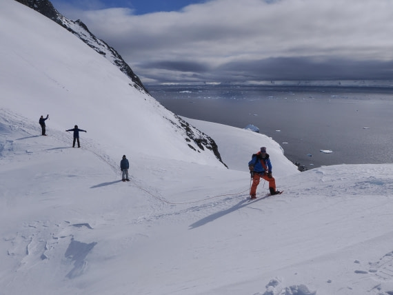 HDS21a24, 6B8F1702-EF8D-413D-B734-981D6A5D7908_1_201_a © Andy Perkins - Oceanwide Expeditions.jpeg