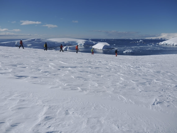 HDS21a24, 27882C98-3CCC-4796-95E8-711A5B80F390_1_201_a © Andy Perkins - Oceanwide Expeditions.jpeg