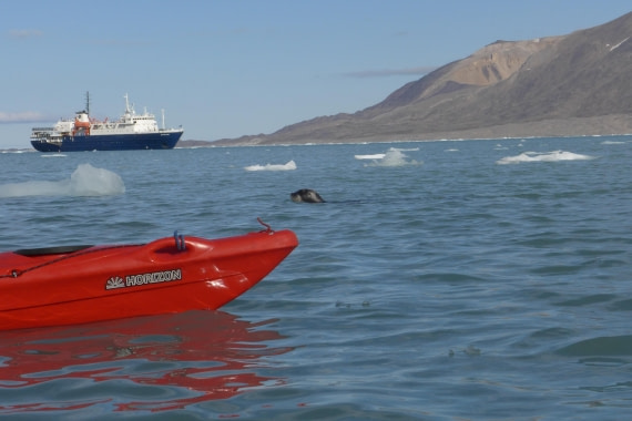 Hello folks! Welcome at Monaco Breen!