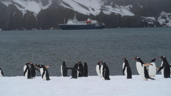 OTL22-24, Day 3, IMG_6091 © Unknown photographer - Oceanwide Expeditions.JPG
