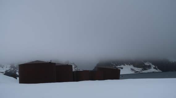 OTL22-24, Day 3, IMG_6107 © Unknown photographer - Oceanwide Expeditions.JPG