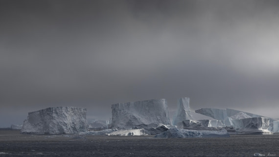 OTL22-24, Day 4, Iceberg 1 © Sara Jenner - Oceanwide Expeditions.jpg
