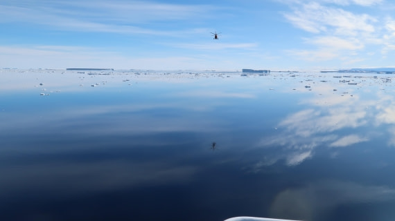 OTL22-24, Day 5, IMG_6200 © Unknown photographer - Oceanwide Expeditions.JPG