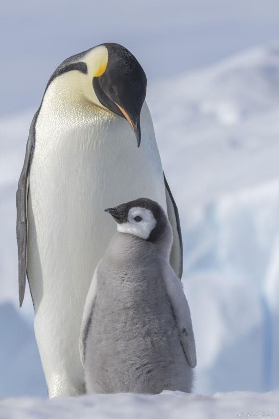 OTL22-24, Day 5, Snow Hill 21 © Sara Jenner - Oceanwide Expeditions.jpg