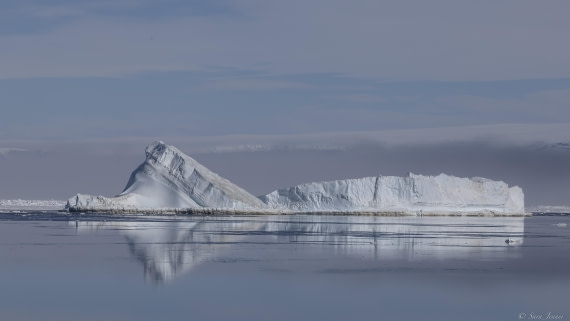OTL22-24, Day 6, Weddell Sea 1 © Sara Jenner - Oceanwide Expeditions.jpg