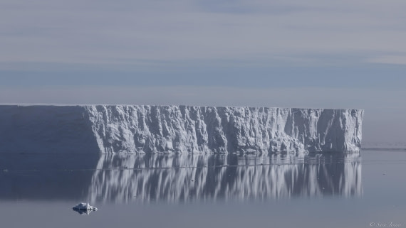 OTL22-24, Day 6, Weddell Sea 2 © Sara Jenner - Oceanwide Expeditions.jpg