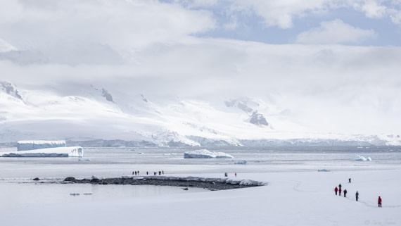 OTL22-24, Day 7, Half moon island © Sara Jenner - Oceanwide Expeditions.jpg