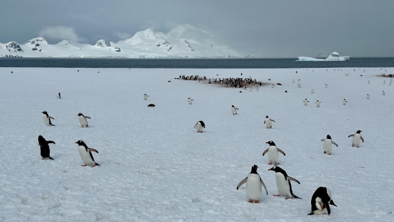 OTL22-24, Day 7, IMG_6250 © Unknown photographer - Oceanwide Expeditions.jpeg