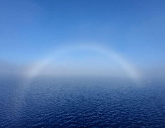 Fogbow