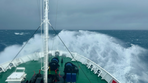 OTL23-24, Day 10, IMG_7715 © Unknown photographer - Oceanwide Expeditions.jpeg