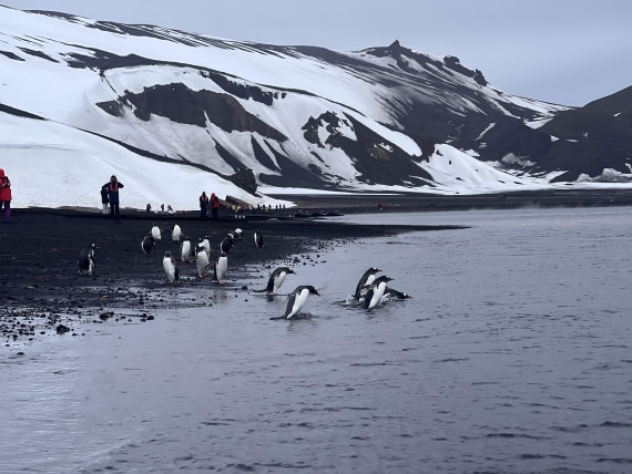 OTL23-24, Day 3, IMG_3353 © Unknown photographer - Oceanwide Expeditions.jpg