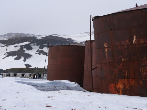 OTL23-24, Day 3, P1079848 © Unknown photographer - Oceanwide Expeditions.JPG