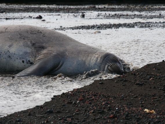 OTL23-24, Day 3, P1079853 © Unknown photographer - Oceanwide Expeditions.JPG