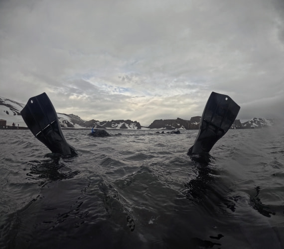 OTL23-24, Day 3, Snorkeling deception island © Unknown photographer - Oceanwide Expeditions.JPG