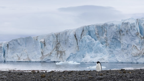 OTL23-24, Day 5, Brown Bluff 1 © Sara Jenner - Oceanwide Expeditions.jpg
