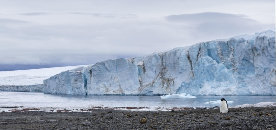 OTL23-24, Day 5, Brown Bluff 3 © Sara Jenner - Oceanwide Expeditions.jpg