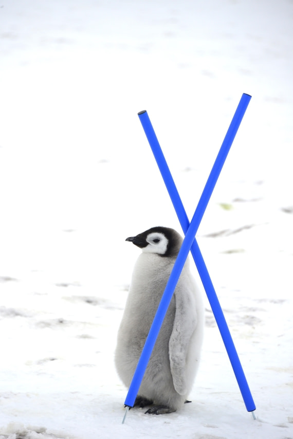 OTL23-24, Day 6, Gary-On the borderline © Gary Miller - Oceanwide Expeditions.JPG