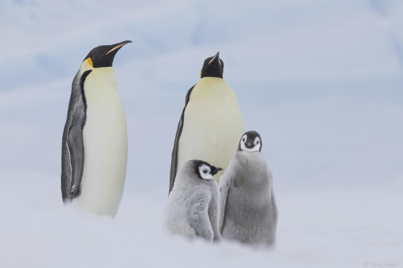 OTL23-24, Day 6, Snow Hill 9 © Sara Jenner - Oceanwide Expeditions.jpg