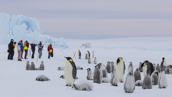 OTL23-24, Day 6, Snow Hill 19 © Sara Jenner - Oceanwide Expeditions.jpg