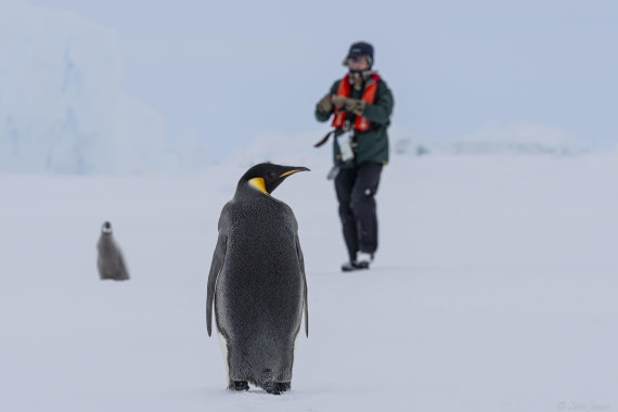 OTL23-24, Day 6, Snow Hill 20 © Sara Jenner - Oceanwide Expeditions.jpg