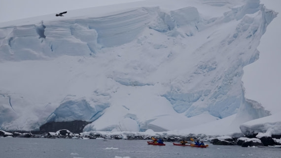 HDS23-24, DSC00596 © Unknown photographer - Oceanwide Expeditions.JPG