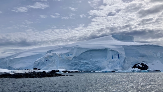 HDS23-24, Day 4, Foyn Harbour © Unknown photographer - Oceanwide Expeditions.JPEG
