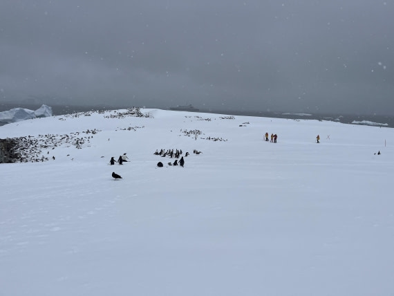 HDS23-24, Day 6, IMG_7265 © Unknown photographer - Oceanwide Expeditions.jpg