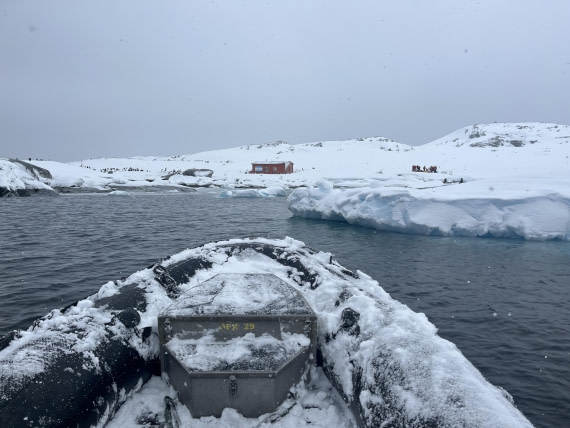 HDS23-24, Day 6, IMG_7902 © Unknown photographer - Oceanwide Expeditions.JPG
