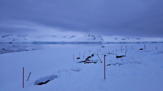 HDS23-24, Day 7, 20241129_235953 © Unknown photographer - Oceanwide Expeditions.jpg