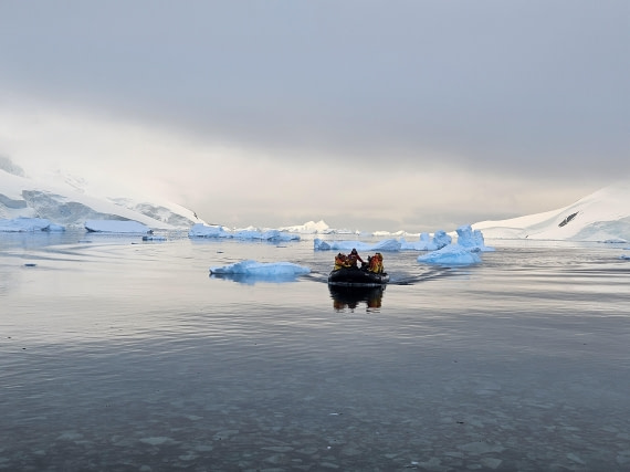 HDS23-24, Day 8, 20241130_211717 © Unknown photographer - Oceanwide Expeditions.jpg